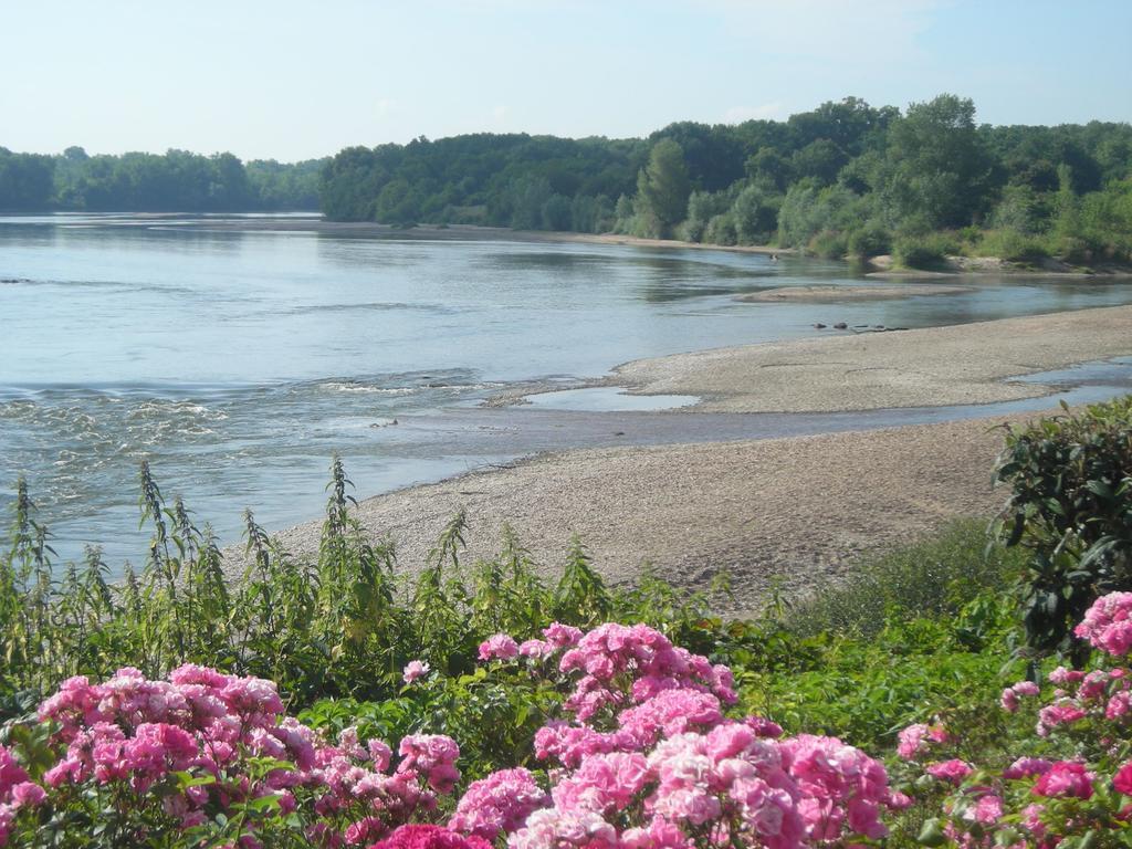 Saint-Satur Hotel De La Loire מראה חיצוני תמונה